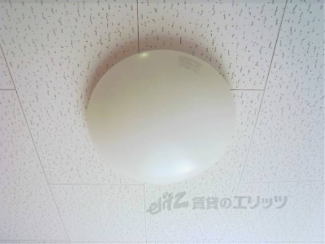 照明