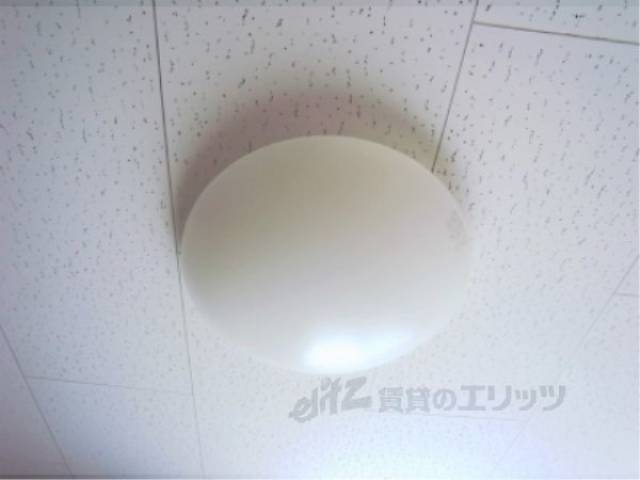 照明