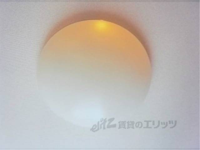 照明