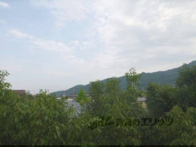 眺望　嵐山を木々越しに望む