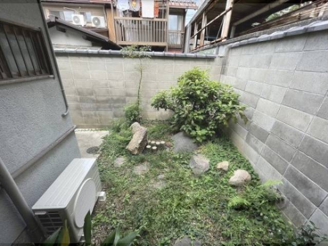 庭