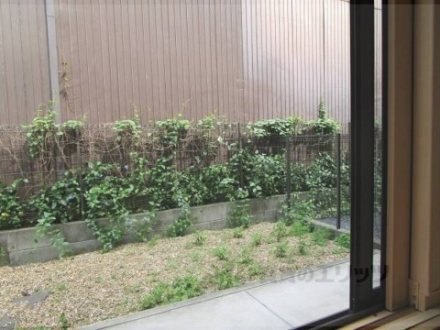 庭