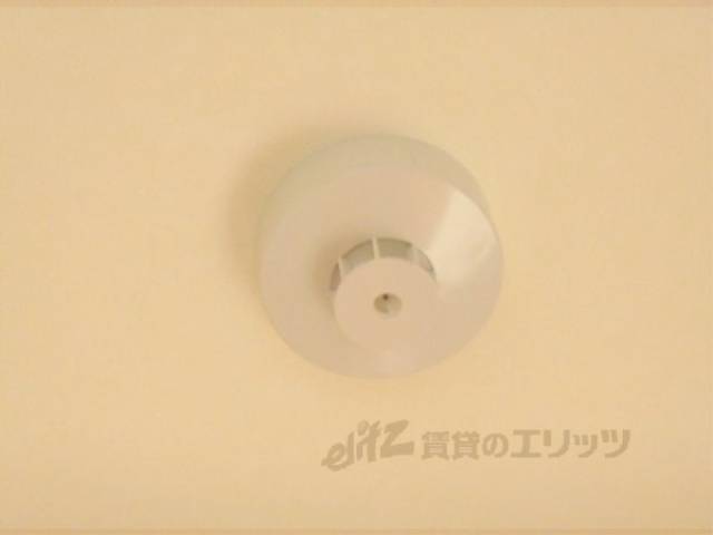 電球