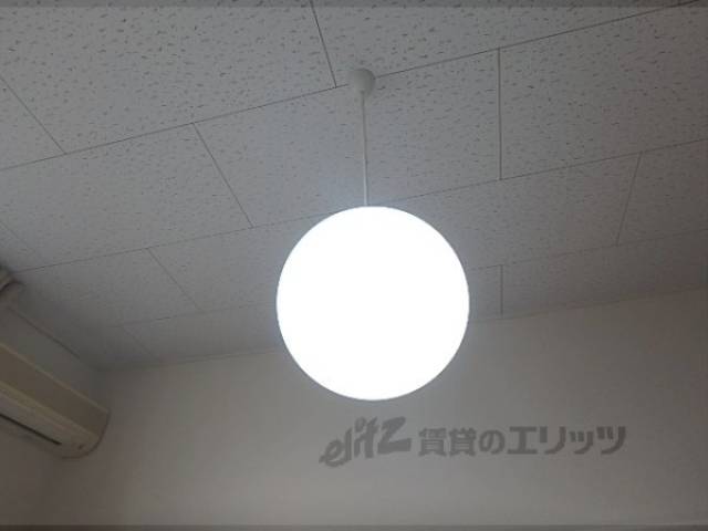 照明