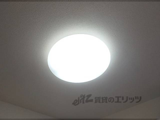 照明