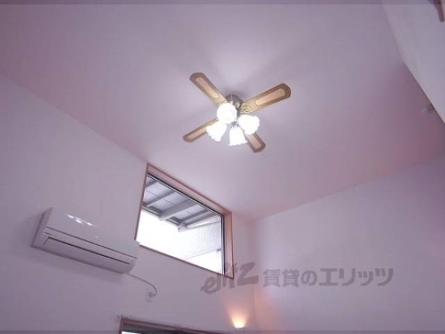 照明