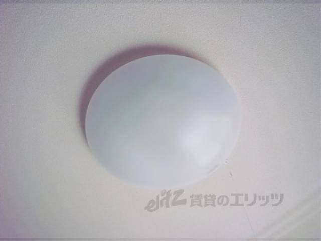 照明