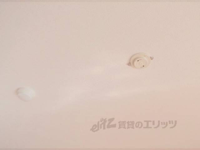 照明コンセント