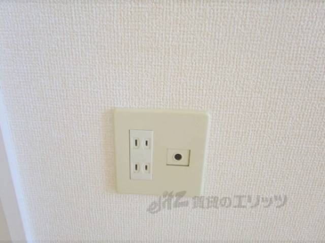 コンセント