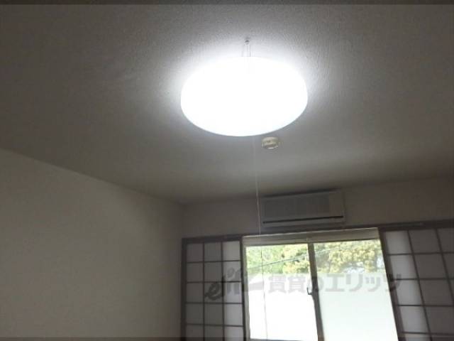照明