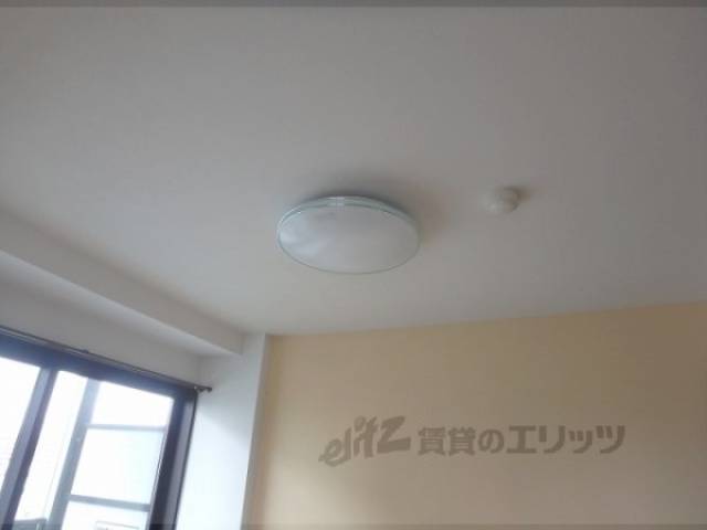 照明