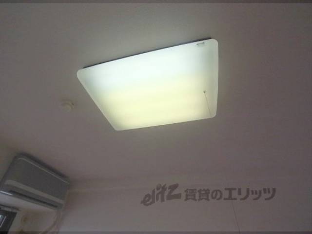 照明