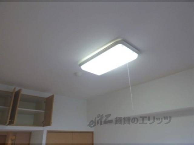 照明