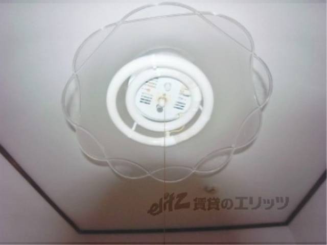 照明