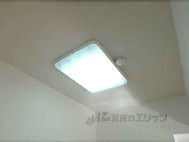 照明
