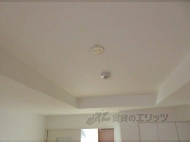 照明