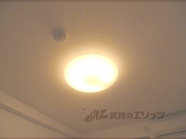 照明