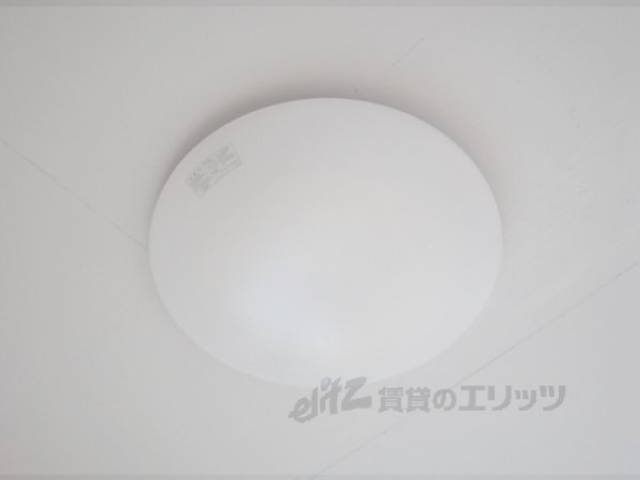 照明