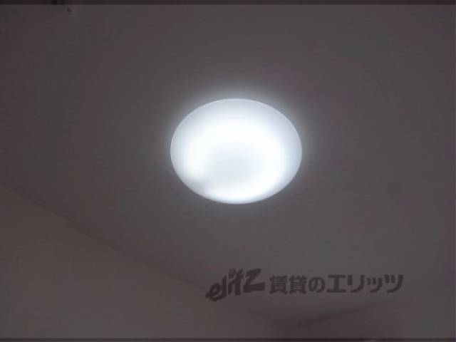 照明