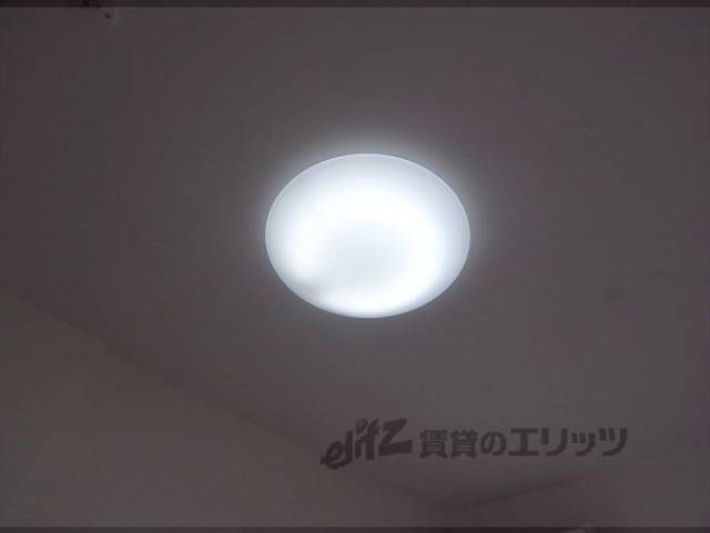 照明