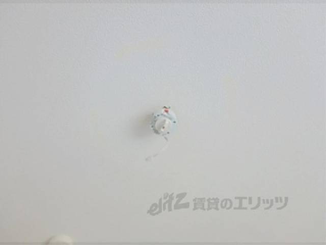 照明