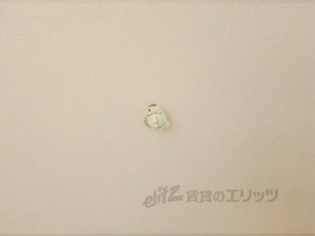 照明