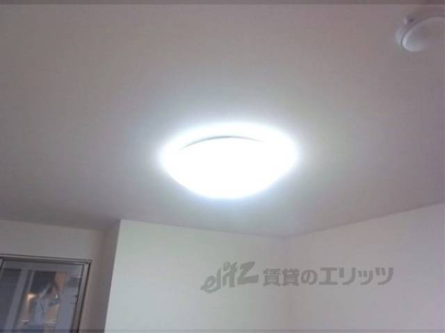 照明
