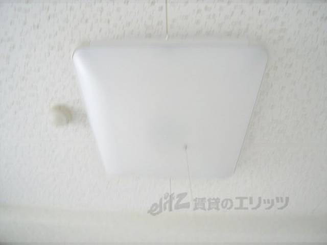 照明
