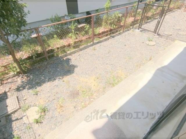 庭