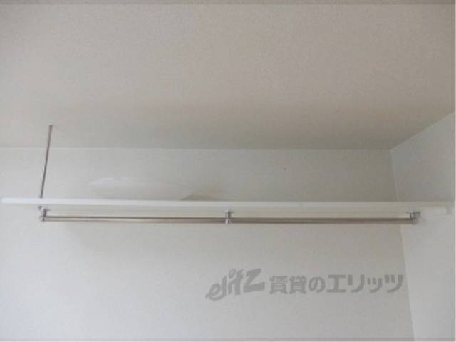 棚