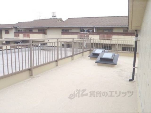 屋上