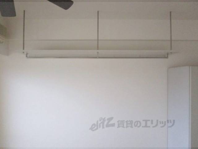 棚