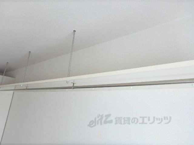 棚
