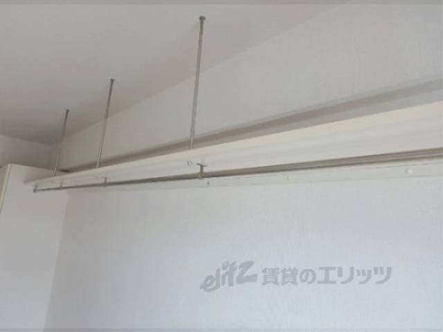 棚