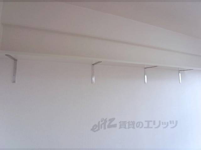 棚