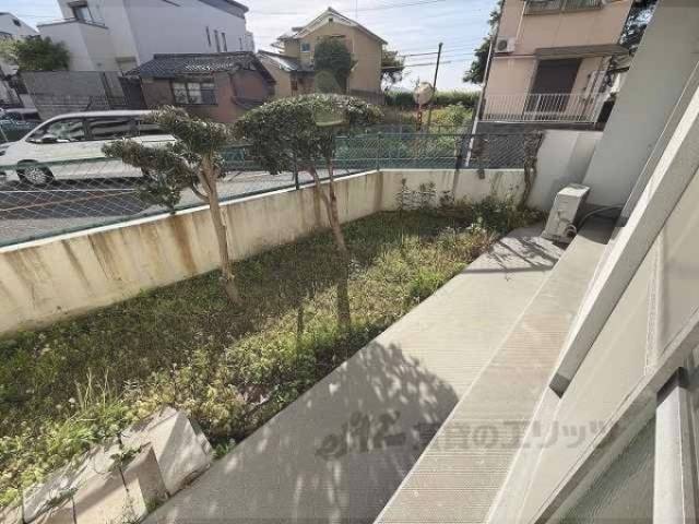 庭