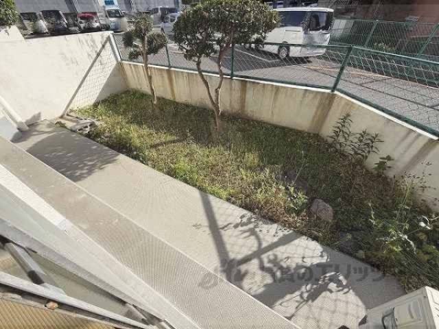 庭