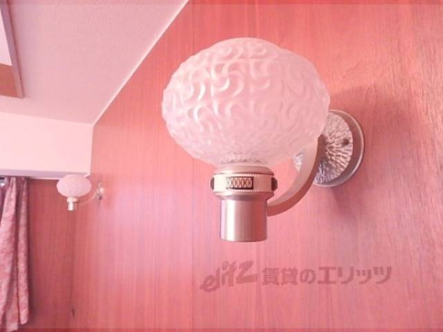 照明