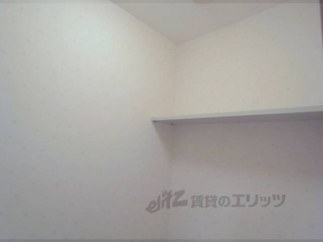棚