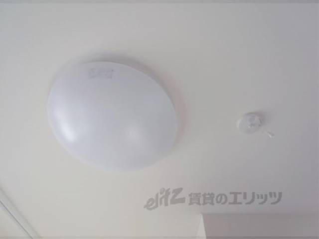 照明
