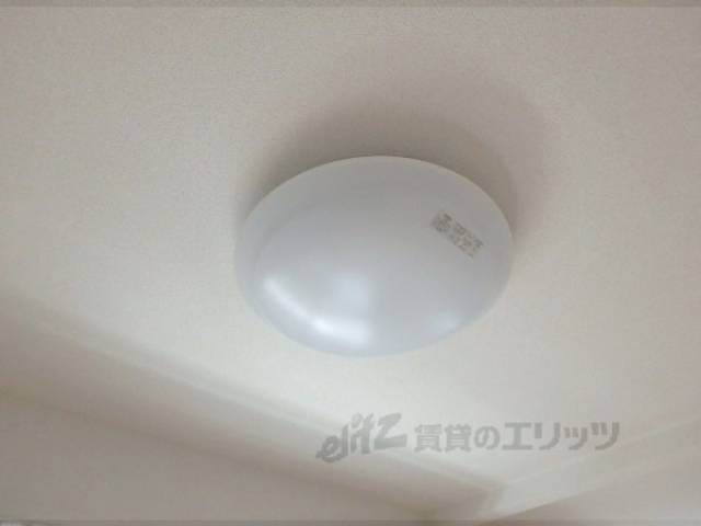 照明