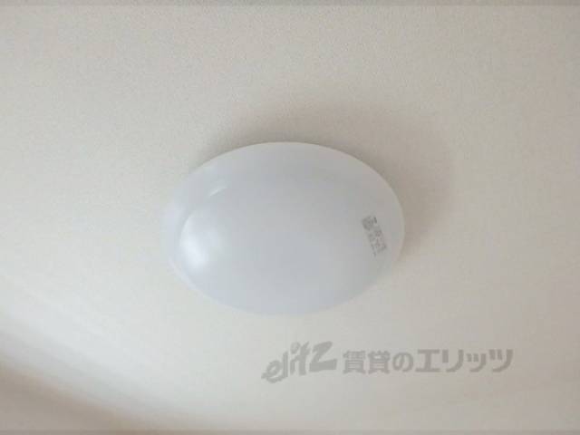 照明