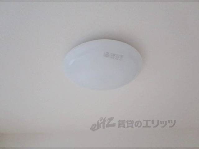 照明