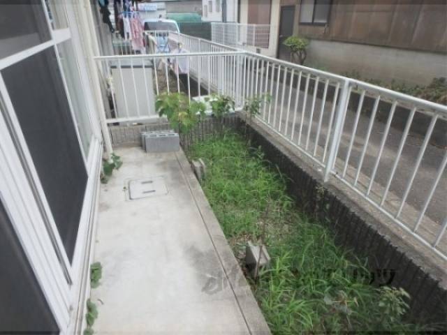 庭