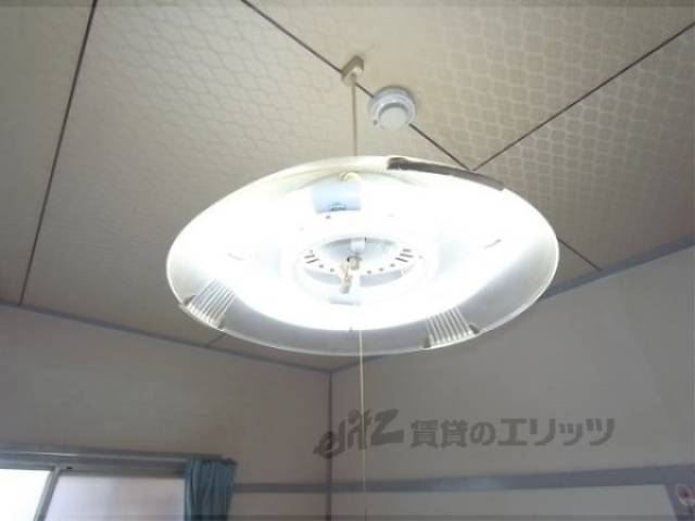 照明
