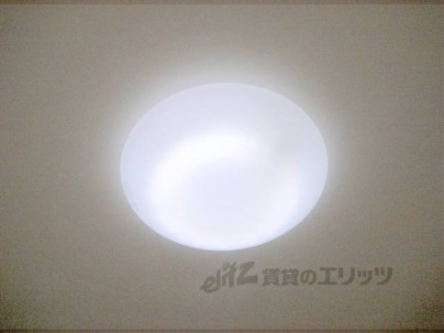 照明