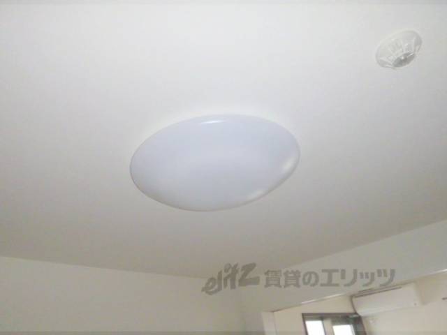 照明