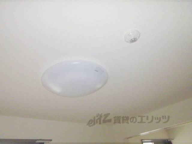 照明