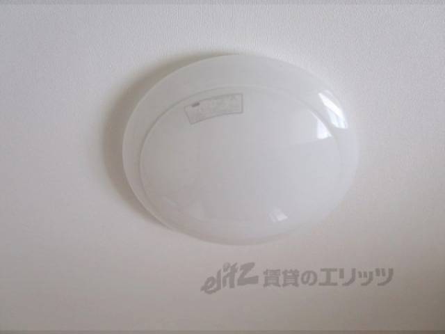 照明