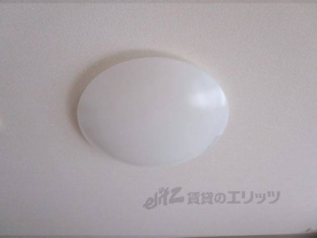照明